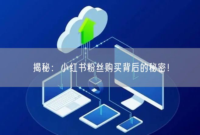 揭秘:小红书粉丝购买背后的秘密!
