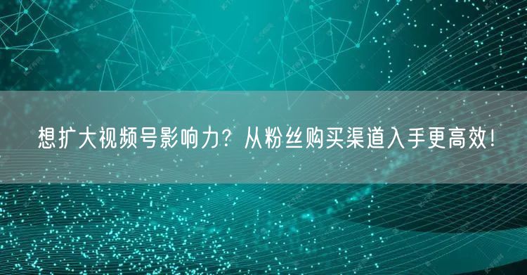 想扩大视频号影响力?从粉丝购买渠道入手更高效!