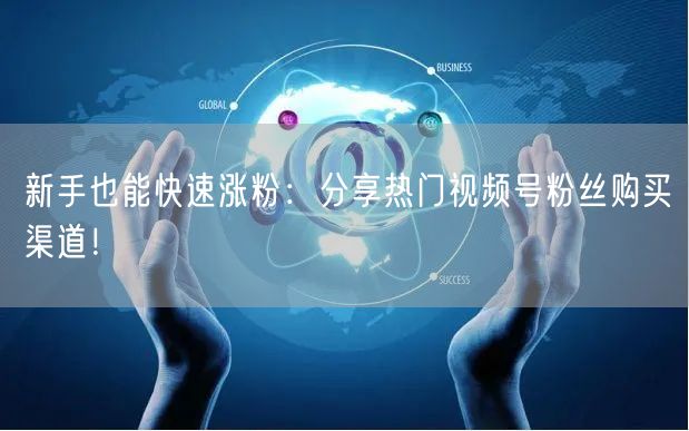新手也能快速涨粉:分享热门视频号粉丝购买渠道!