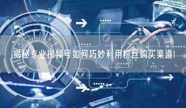揭秘专业视频号如何巧妙利用粉丝购买渠道!