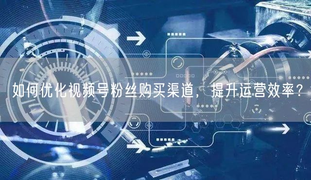 如何优化视频号粉丝购买渠道,提升运营效率?