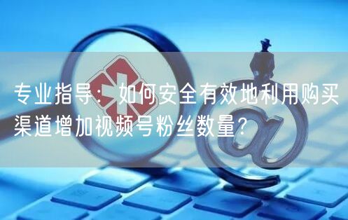专业指导：如何安全有效地利用购买渠道增加视频号粉丝数量？