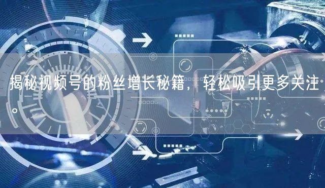 揭秘视频号的粉丝增长秘籍,轻松吸引更多关注。