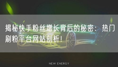 揭秘快手粉丝增长背后的秘密：热门刷粉平台网站剖析！