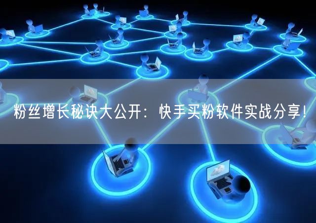 粉丝增长秘诀大公开:快手买粉软件实战分享!