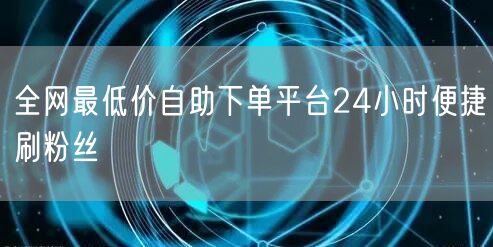 全网最低价自助下单平台24小时便捷刷粉丝