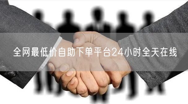 全网最低价自助下单平台24小时全天在线