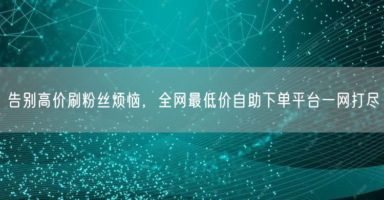 告别高价刷粉丝烦恼，全网最低价自助下单平台一网打尽