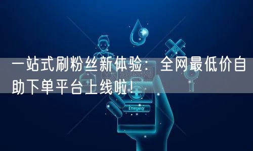 一站式刷粉丝新体验：全网最低价自助下单平台上线啦！