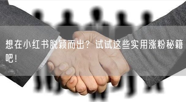 想在小红书脱颖而出?试试这些实用涨粉秘籍吧!