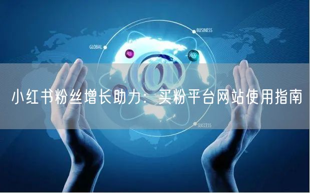 小红书粉丝增长助力:买粉平台网站使用指南