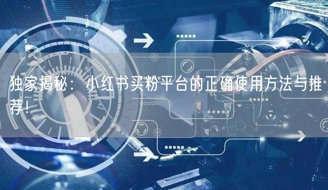 独家揭秘:小红书买粉平台的正确使用方法与推荐!