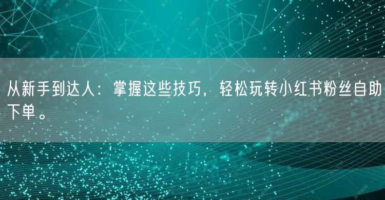 从新手到达人:掌握这些技巧,轻松玩转小红书粉丝自助下单。