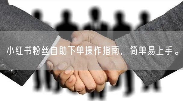 小红书粉丝自助下单操作指南,简单易上手。