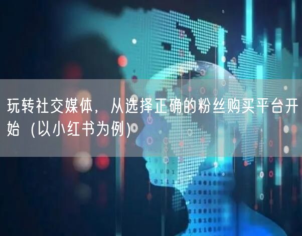 玩转社交媒体,从选择正确的粉丝购买平台开始(以小红书为例)