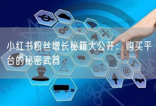 小红书粉丝增长秘籍大公开:购买平台的秘密武器