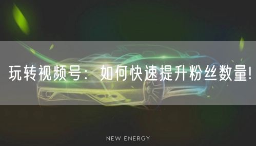 玩转视频号:如何快速提升粉丝数量!