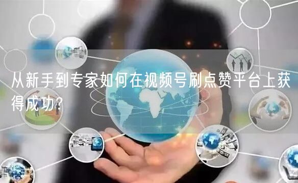 从新手到专家如何在视频号刷点赞平台上获得成功？